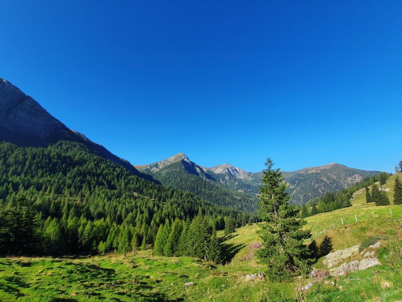 Haus Kraller-Urlaub Mit Seeblick Millstatt am See Zewnętrze zdjęcie